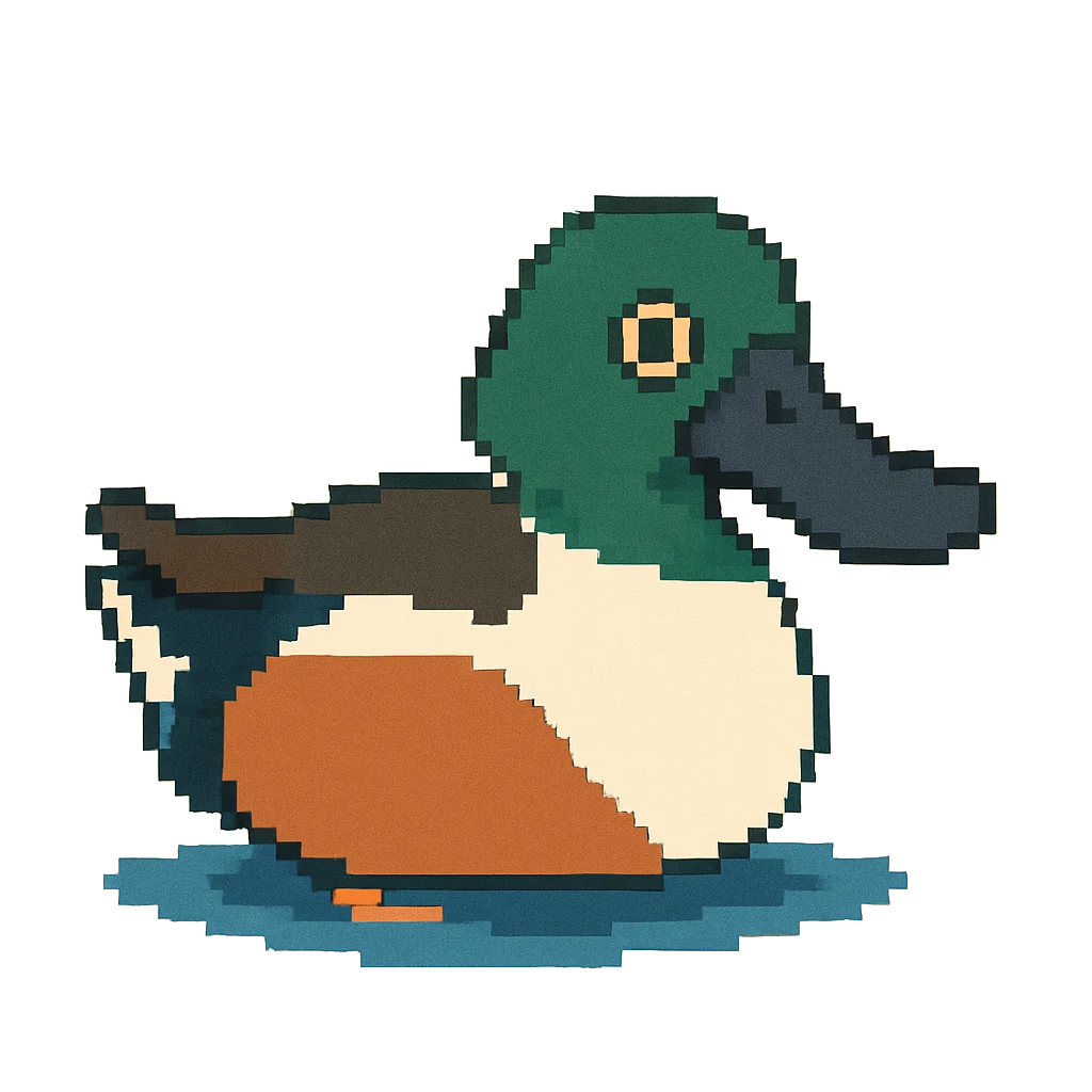 ハシビロガモ